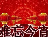 难忘今宵网红,网红现象背后的文化共鸣与时代印记